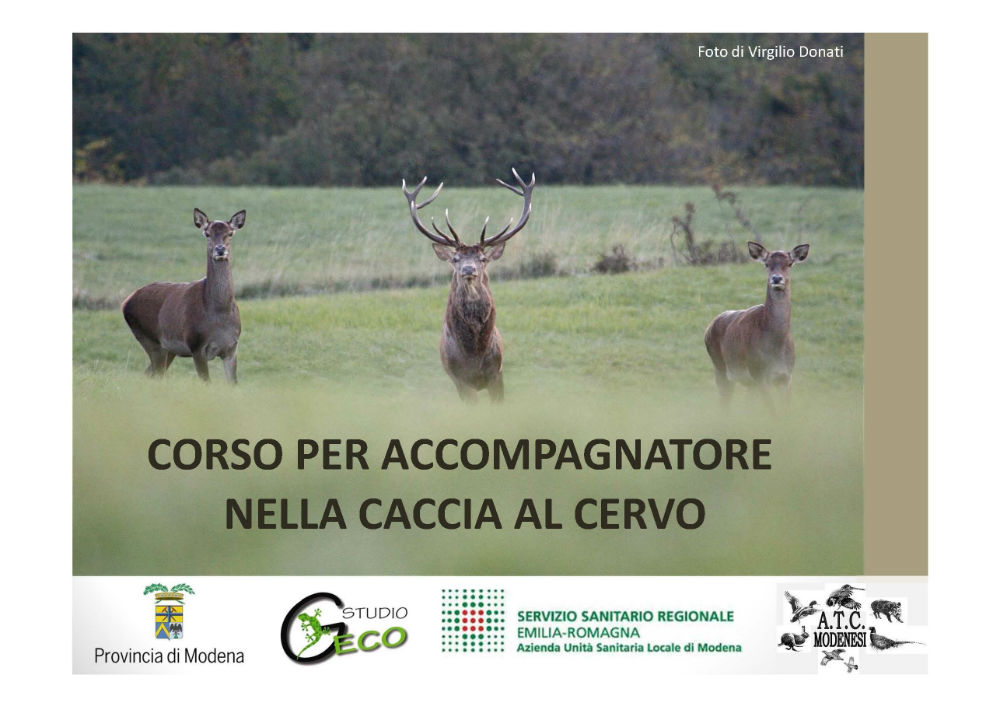 Corso per accompagnatore nella caccia al cervo